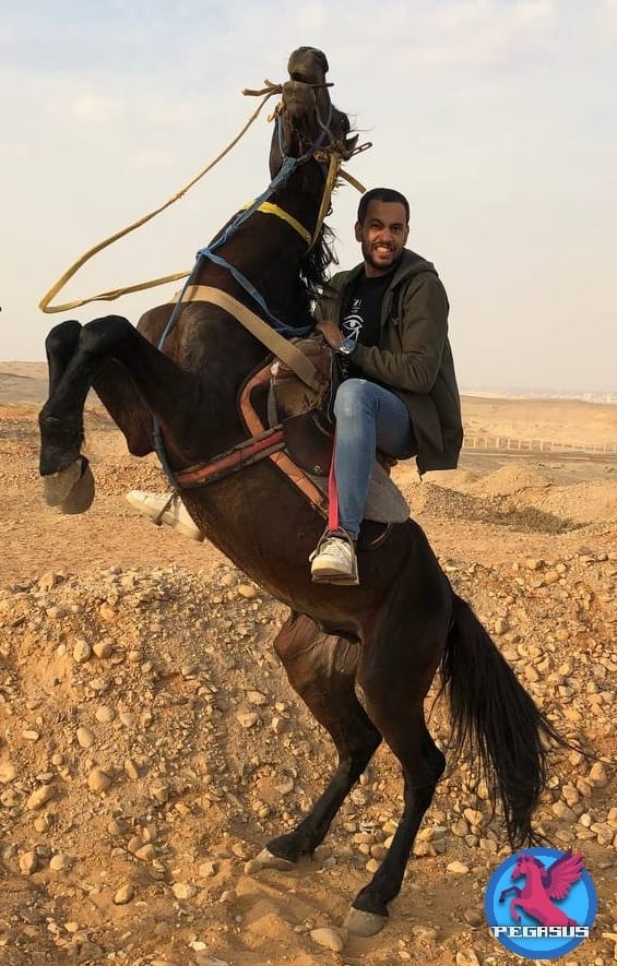  Horse Riding at Pegasus Adventure club