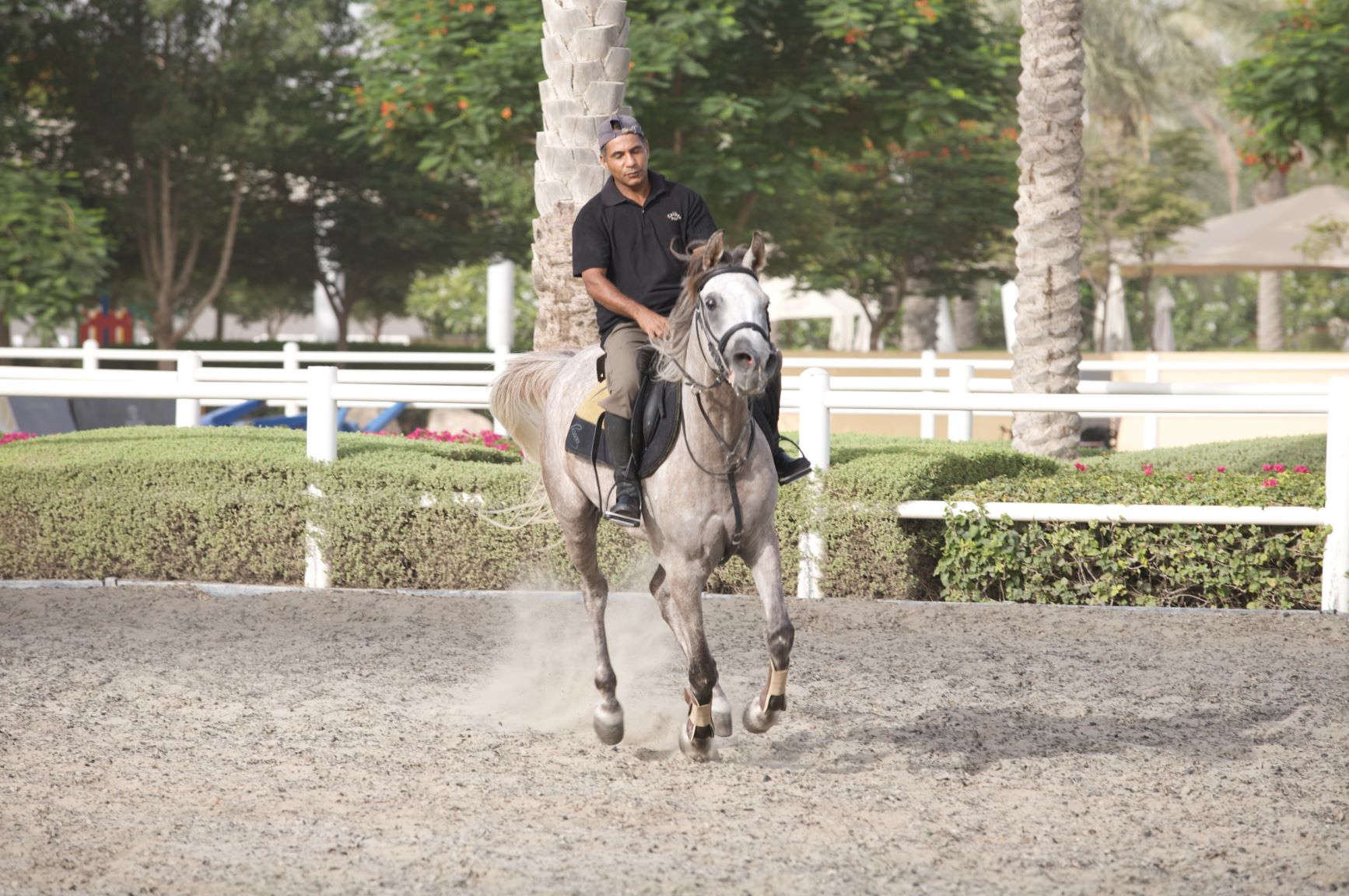 Horse riding in Dubai