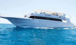 Spend a special day on a yacht in Porto Sokhna