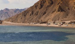 Dahab trips at the best prices