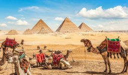 تمتع برحلة مذهلة فى القاهرة والإسكندرية