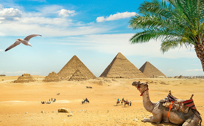 جولة في الأهرامات العظيمة وأبو الهول والمتحف المصري.