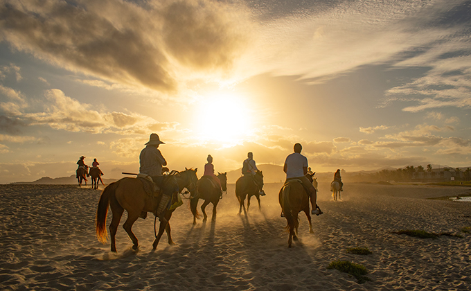  Horse Riding at Pegasus Adventure club