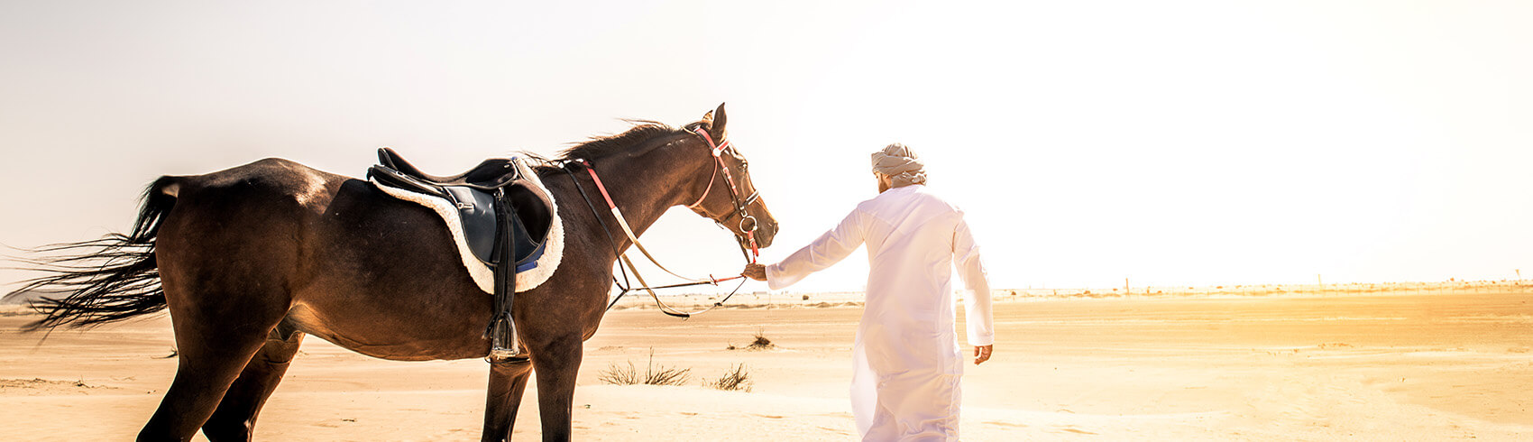 Horse Riding in Dubai