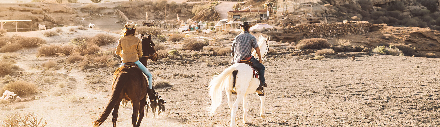 Horse Riding in Riyadh