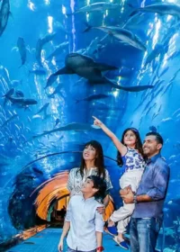 Dubai Mall Aquarium Tickets
