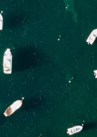 Eastern Province Boat Trips