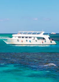 Boat trips in Yanbu