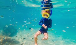 Dive courses for kids