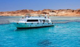 Tiran Island Snorkeling with Lunch on Boat