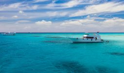  Enjoy a private boat tour in Hurghada