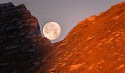 شاهد القمر مكتملاً في محمية وادي دجلة