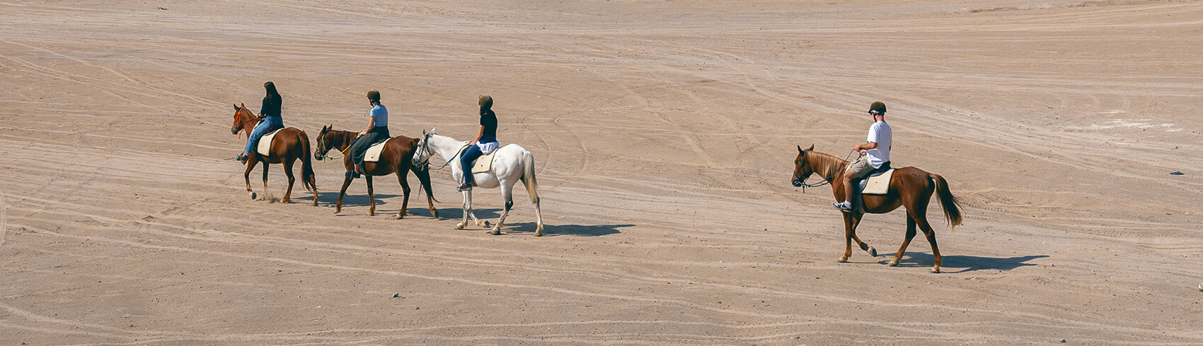 Horse Riding in Al Ahsa