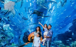 Dubai Mall Aquarium Tickets