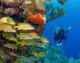 Adventure day at three pools and Wadi Qunai