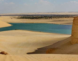 رحلة سياحية في مدينة الفيوم