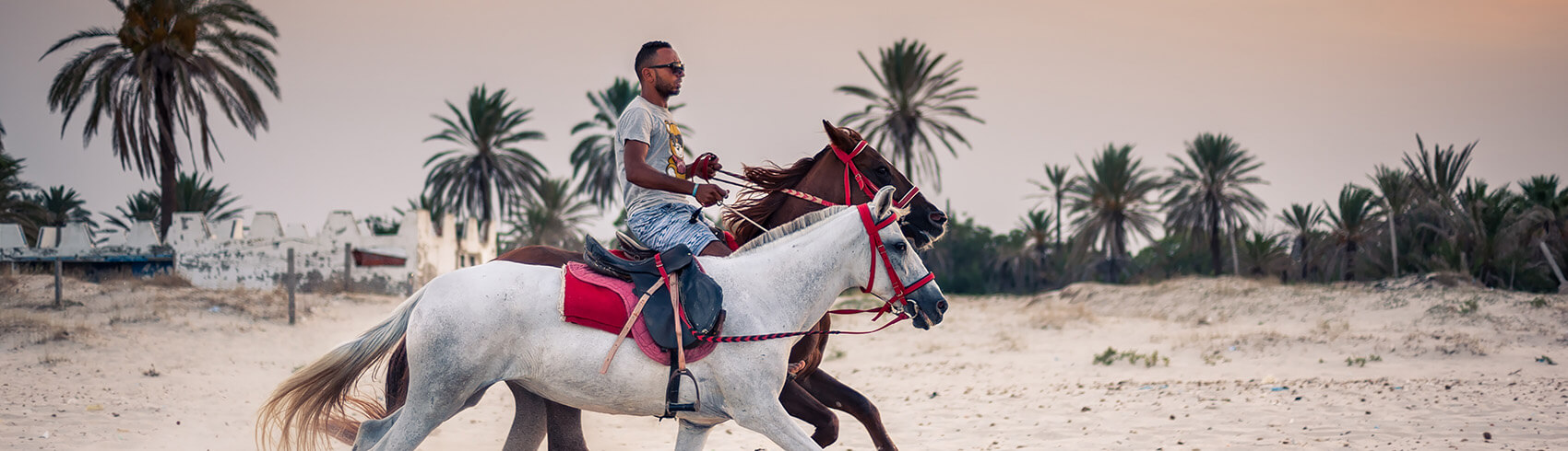 Bahrain horse riding