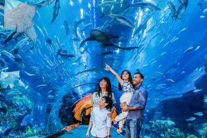 Dubai Mall Aquarium Tickets