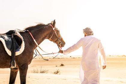 Horse Riding in Dubai