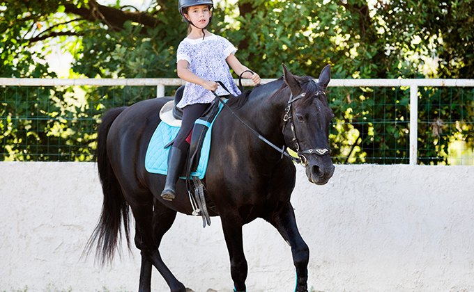 Horse Riding Lessons in Bahrain