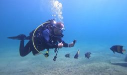 Enjoy discovering the hafmon diving