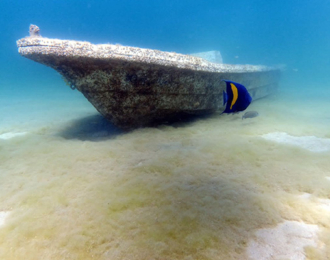 Enjoy diving the underwater museum in The Half Moon
