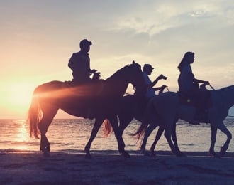 أقضي يوم رائع مع الخيول علي البحر
