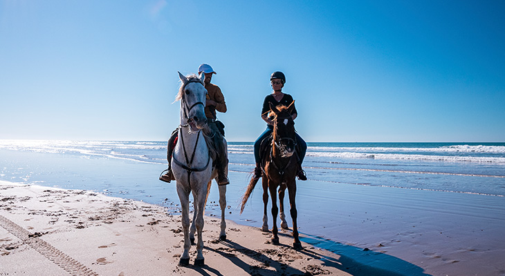 Spend an amazing day with horses on beach 