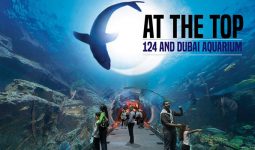 Enjoy a wonderful day in the attractions of Dubai