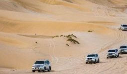 Take a rest and enjoy safari tour in Qatar