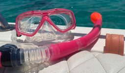 Spend your day in trying Swimming & Snorkeling in Al Jubail