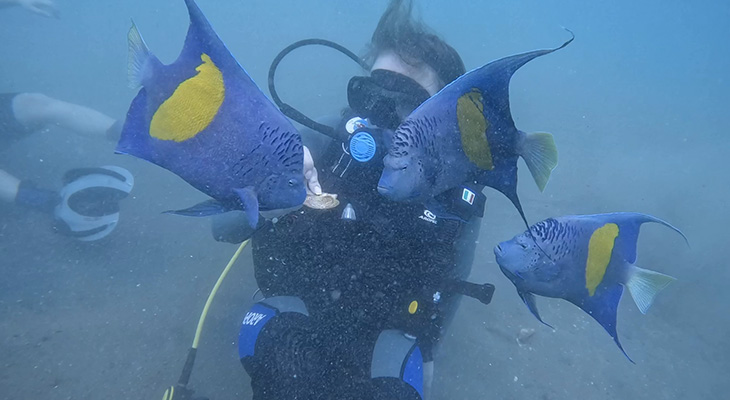 Amazing diving day in Sealine beach in Qatar 