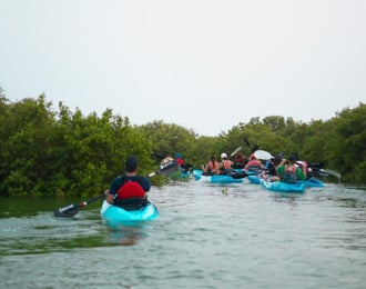 Join us in jalsa vip & Kayaking trip