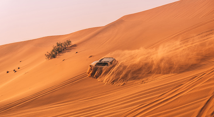 Morning Desert safari in the desert of Dubai 