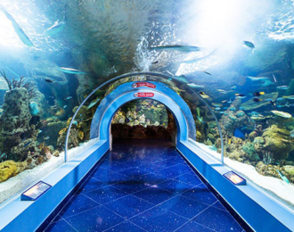 Spend a great time in Fakieh Aquarium & Have fun with the Dolphins