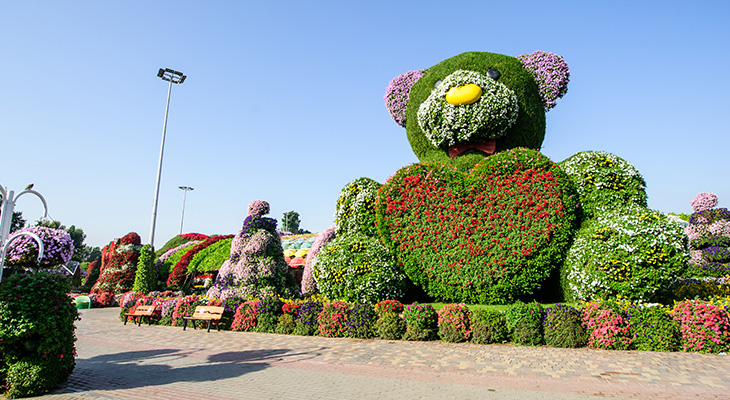 Have a nice time in Miracle Garden 