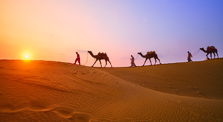 60 min camel trekking tour