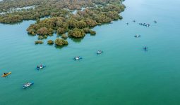 90 minutes of kayaking in the wonder of Qatar