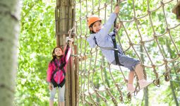 3-Hours Entry tickets to Dubai Aventura Parks