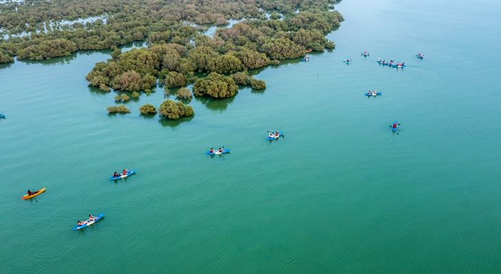 90 minutes of kayaking in the wonder of Qatar