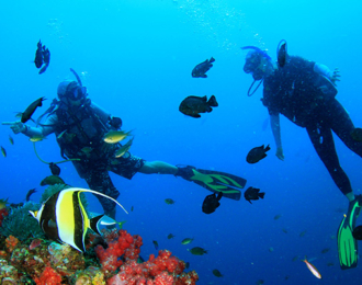 تجربة سنوركلينج لا مثيل لها من الفجيرة