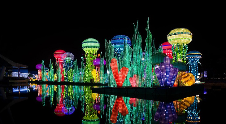Have a new adventure in Dubai glow garden 