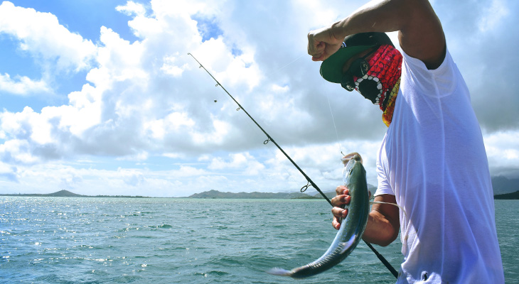 5 hours fishing trip in the Qatar sea 