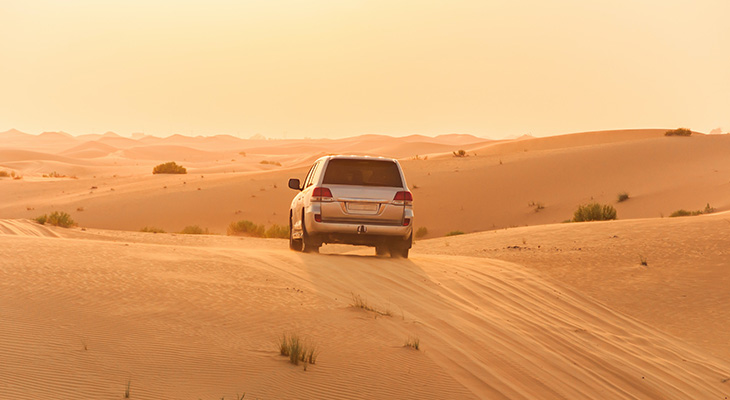 Chill out in an amazing desert safari tour