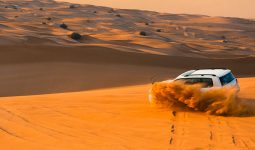 Magical 4 hours desert safari tour 