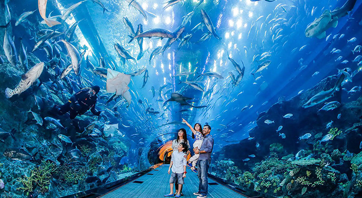 Choose between 2 packages for Dubai aquarium & underwater zoo