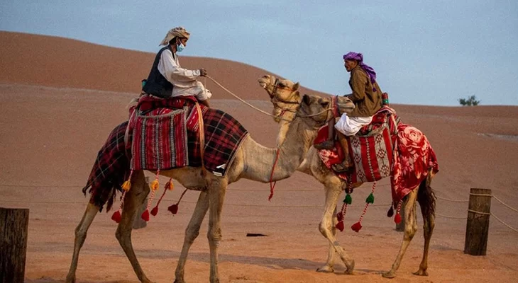 Camel Ride in the Desert of Riyadh