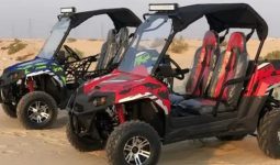 Do you want quad bikes? order it now! 
