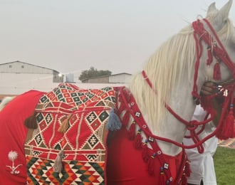 توصيل خيول إلى بابك، أطلب الآن