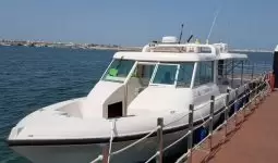 4 Hours Private Fishing Trip in Bahrain